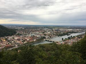 West-Heidelberg vom Heiligenberg (2021).jpeg