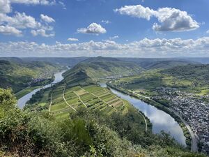 Moselschleife vom westlichen Berg (2024).jpeg