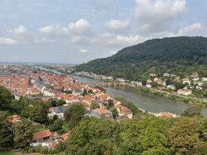 Heidelberg vom Schloss aus gesehen (2023).jpeg